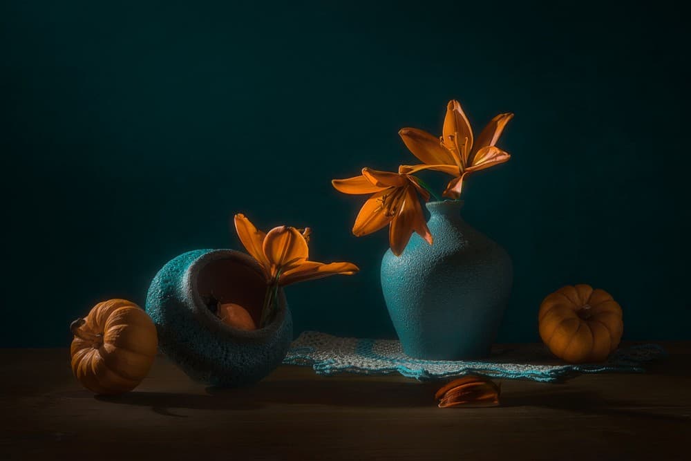 Orange Lily And Squash Poster