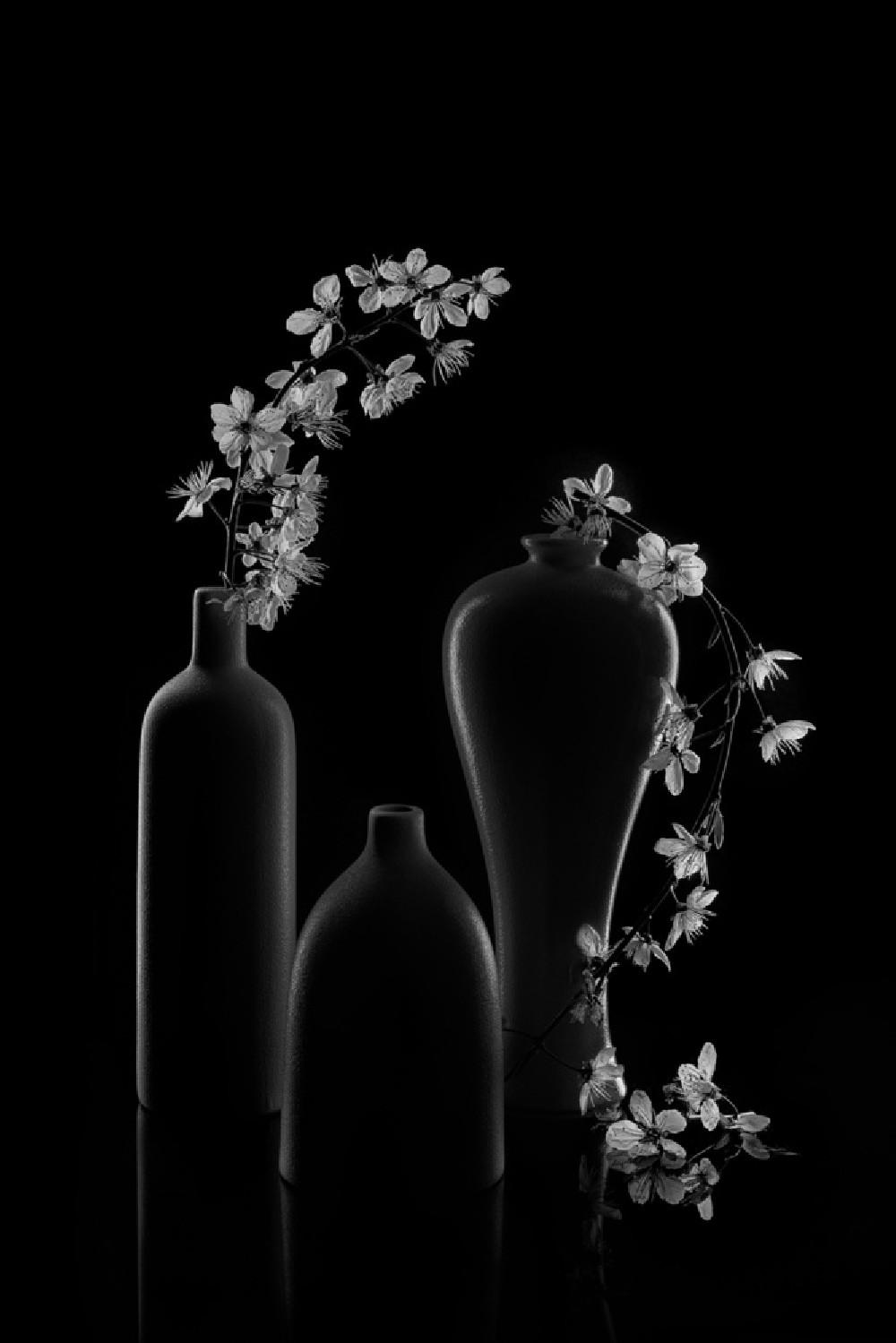 Elegant Prunus Cerasifera Poster