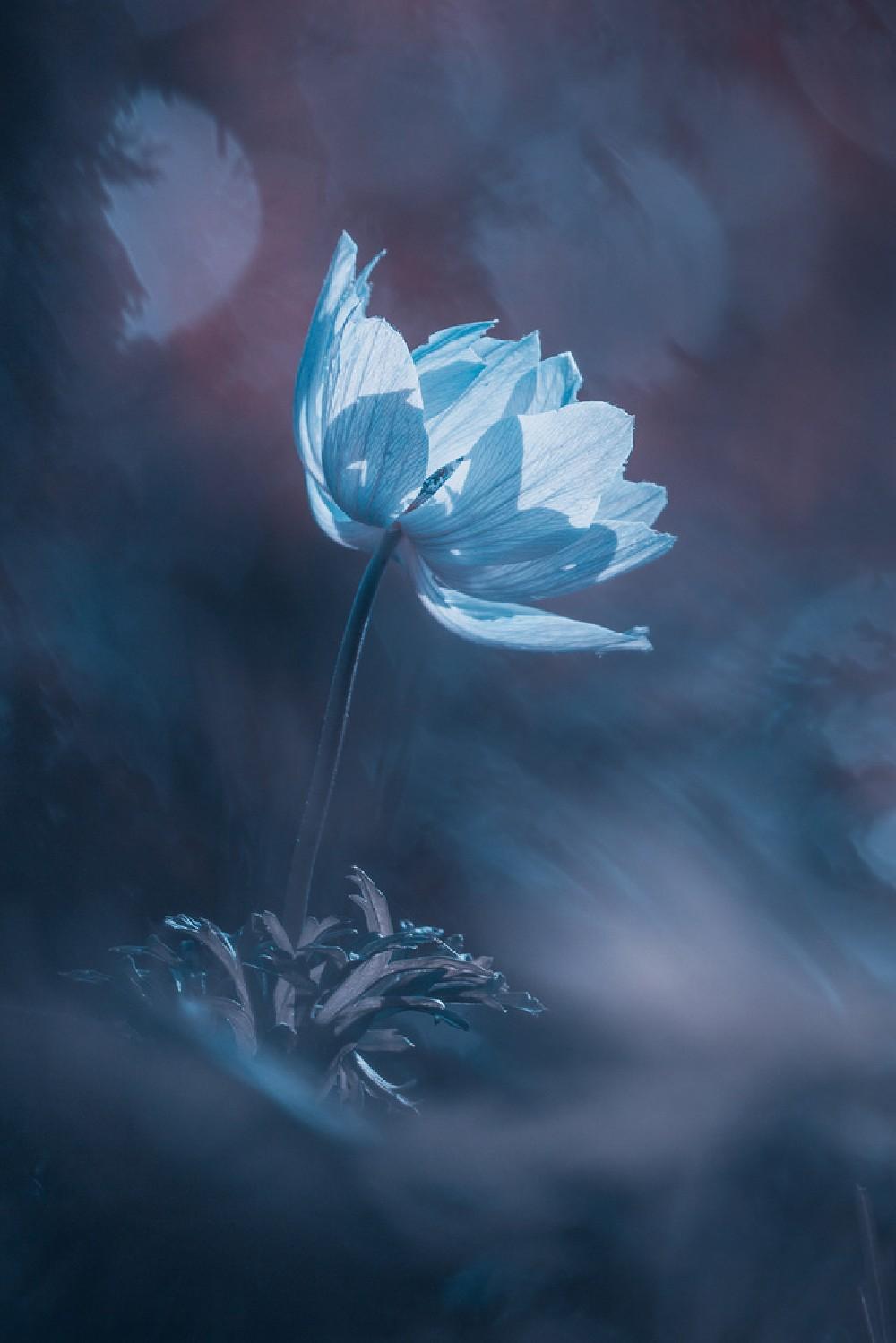 Dream On Poster