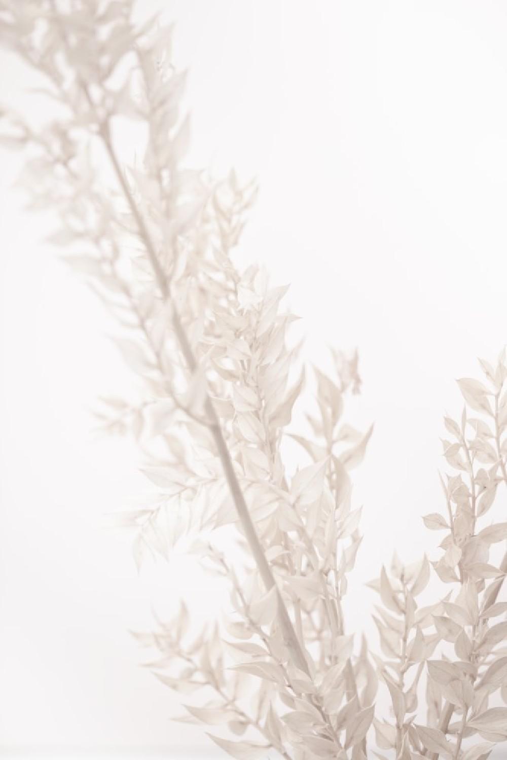 Dried Straws Poster