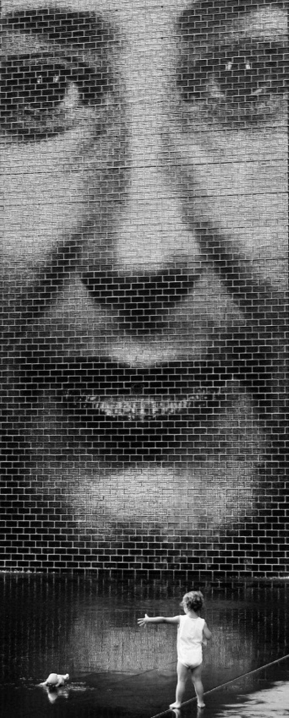 Big Brother A La Chicago Poster