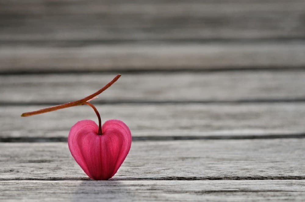 Natural Heart Poster