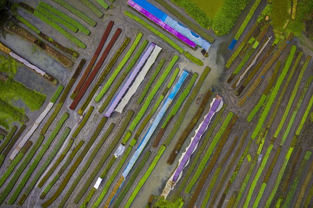 Traditional Farming Methods On Floating Islands Poster