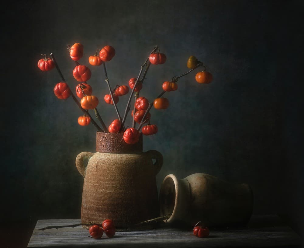 Ornamental Eggplant Poster