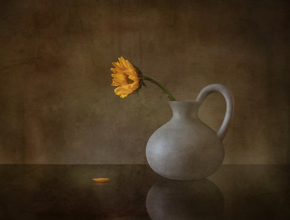 Life Poster