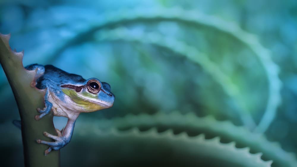 Ready To Jump Poster