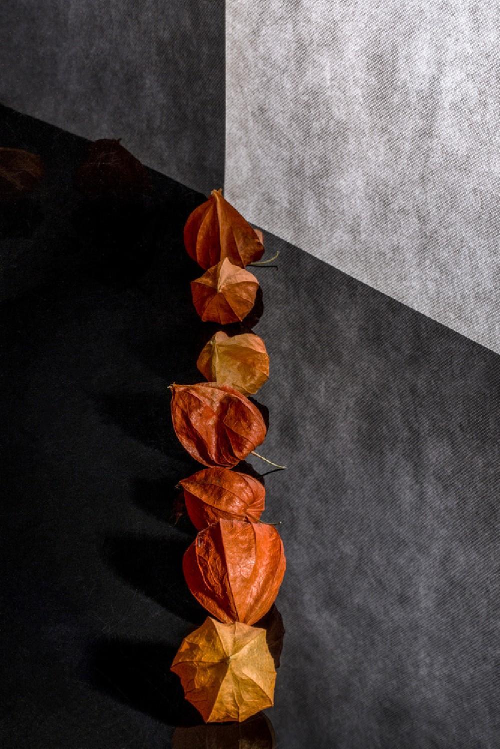 Still Life With Physalis Poster