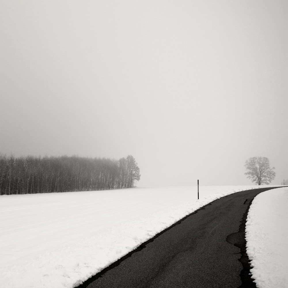 Curve In Snow Poster