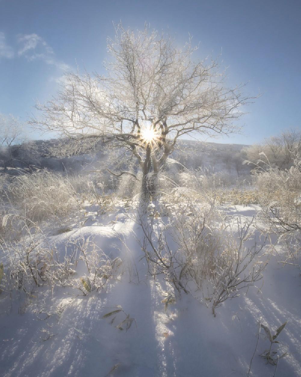 Winter Morning In The Mountain Poster