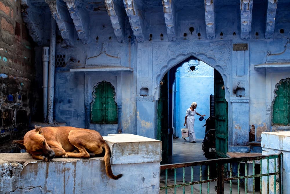 A Morning At Jodhpur The Blue City Poster