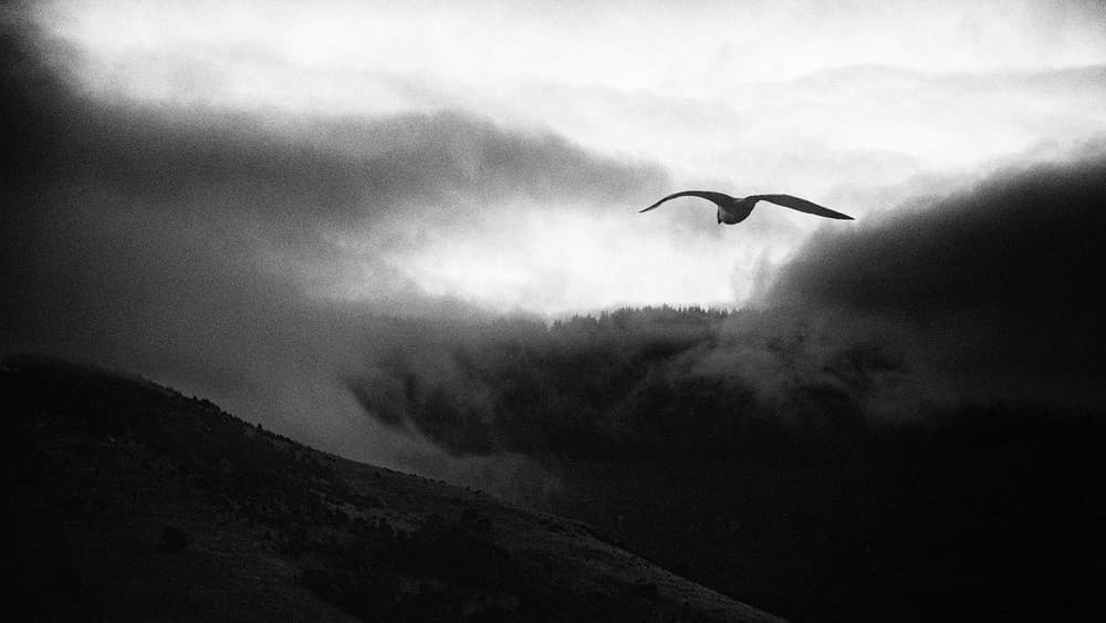 Cowboys And Angels Poster