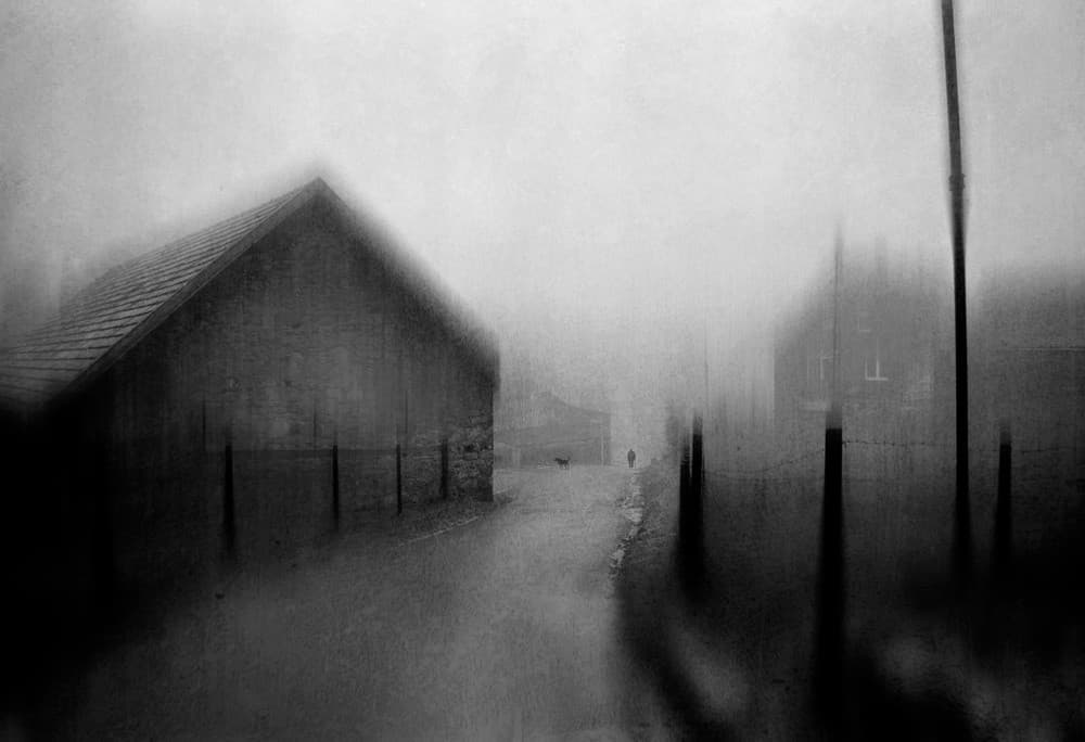 A New False Reality Poster