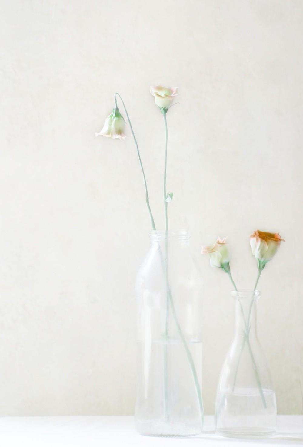 Simplicity And Elegance Poster