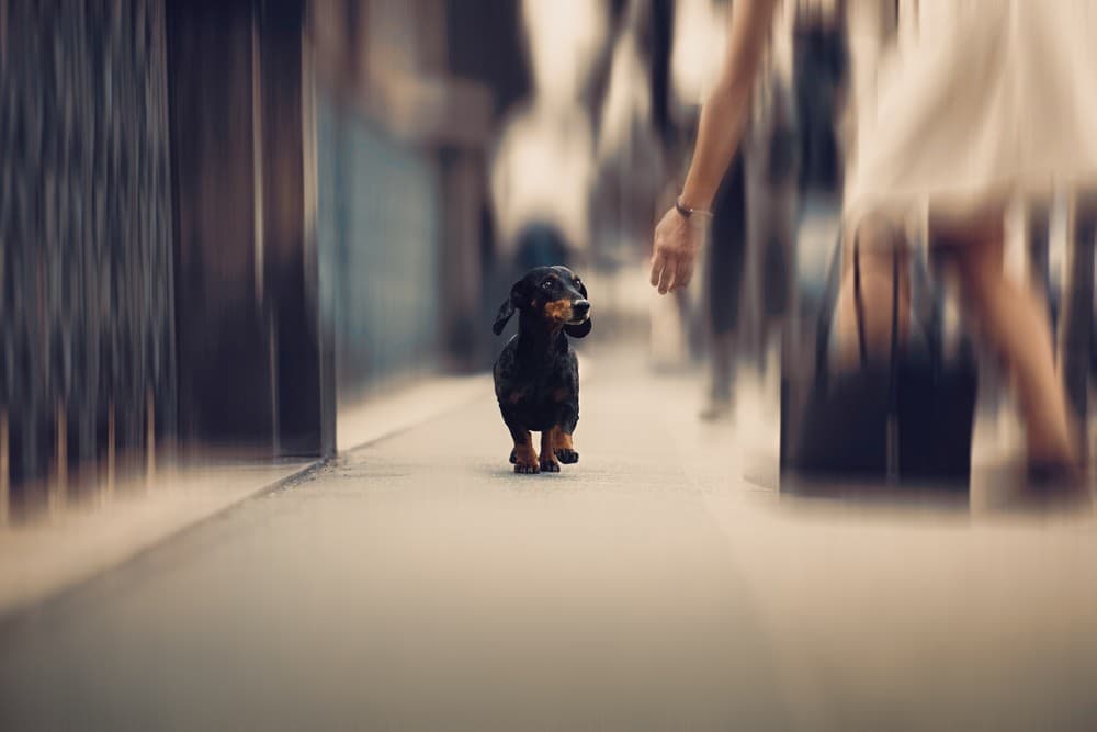 Sometimes We Need A Helping Hand... Poster