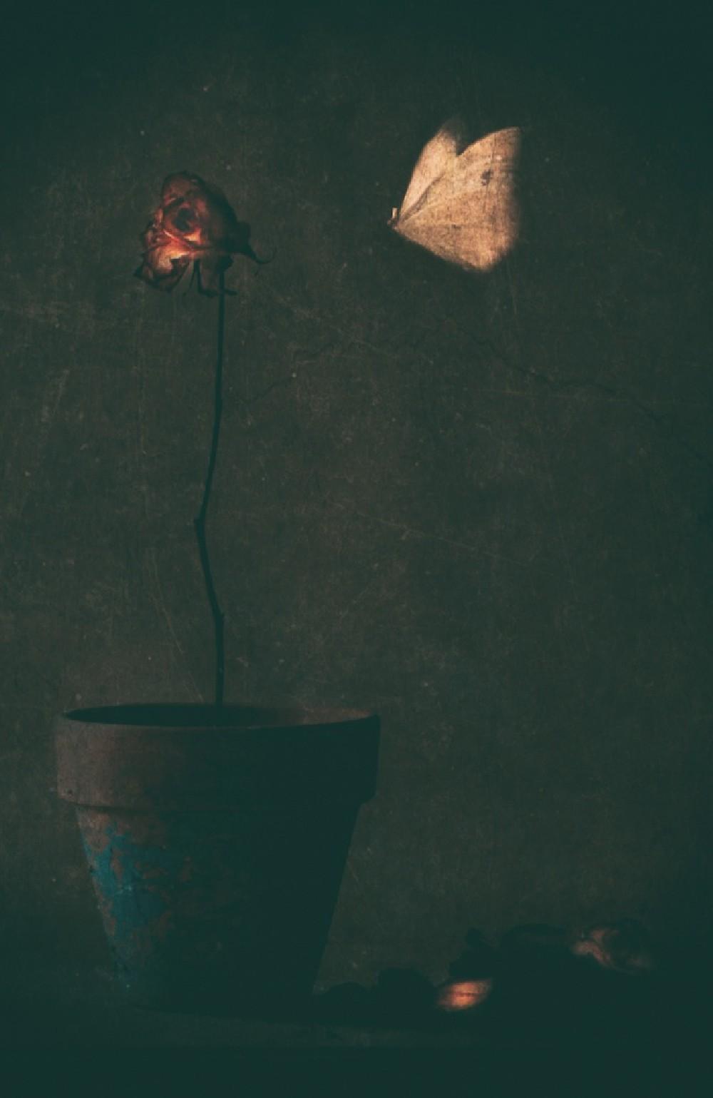 Mon Amie La Rose... Poster