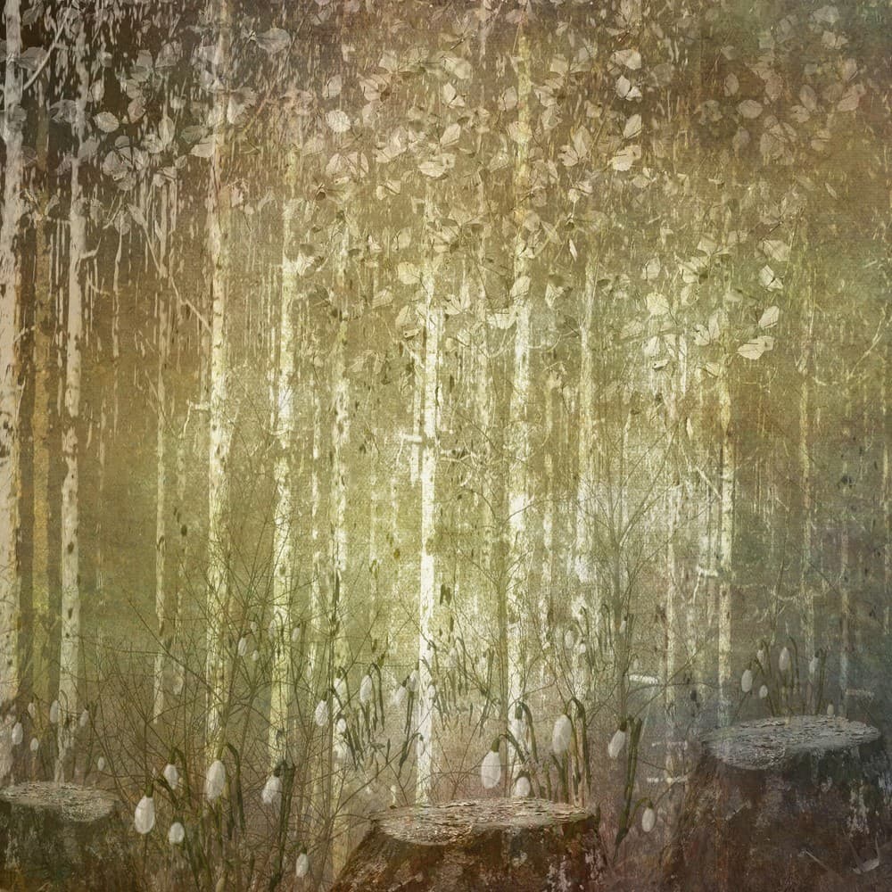 Winter Woodland Poster