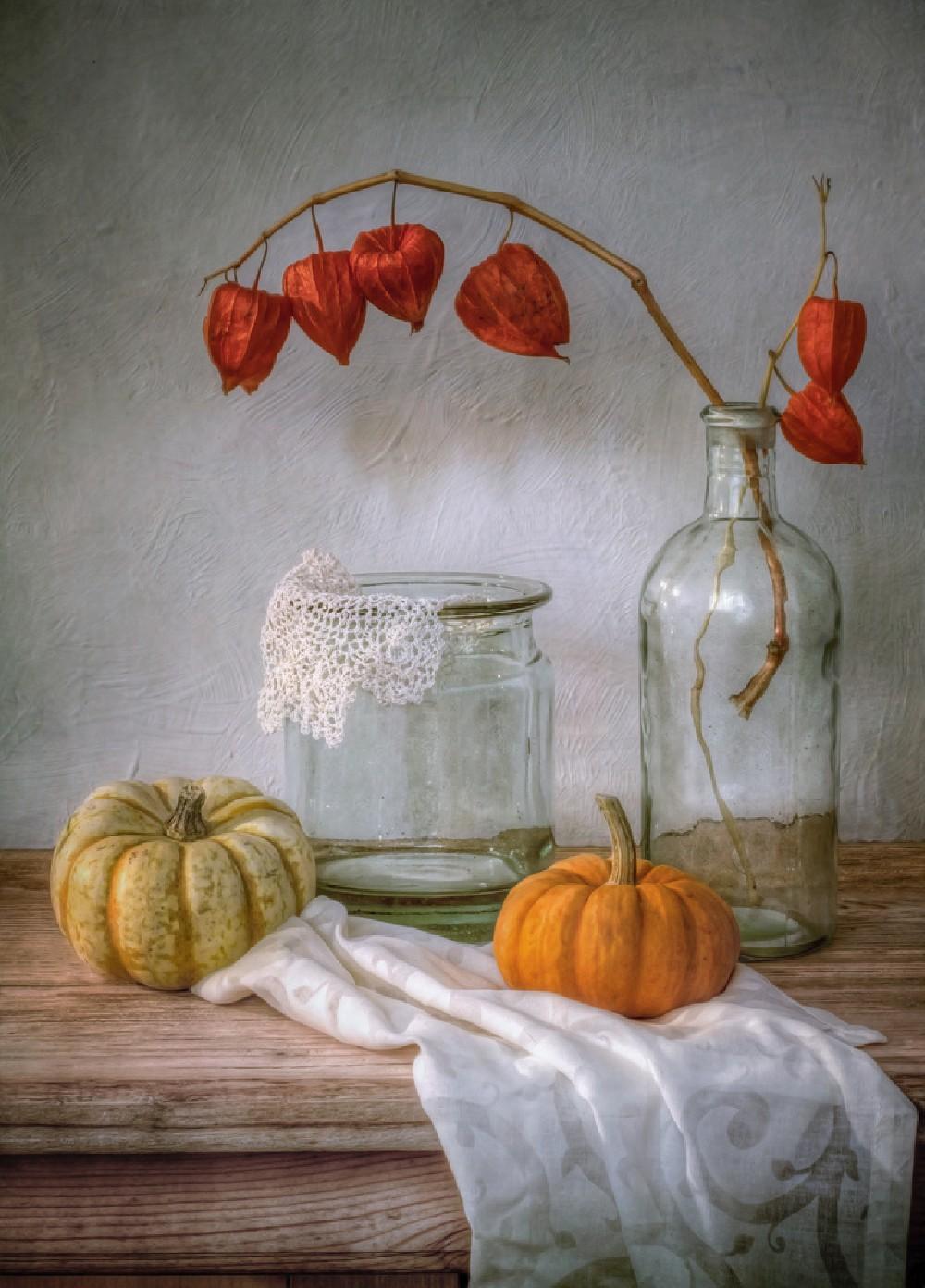 Still Life With Physalis And Pumpkin Poster