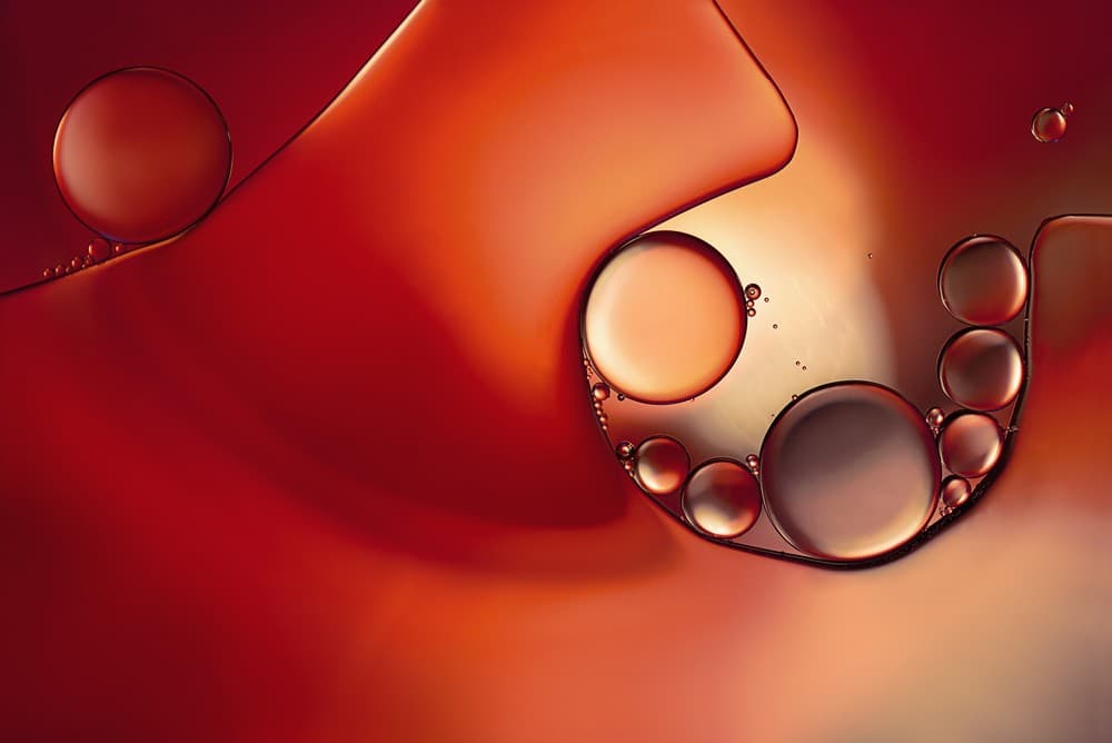 Intruder In Red Ll Poster