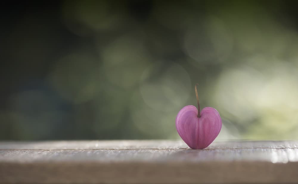 A Single Heart Poster