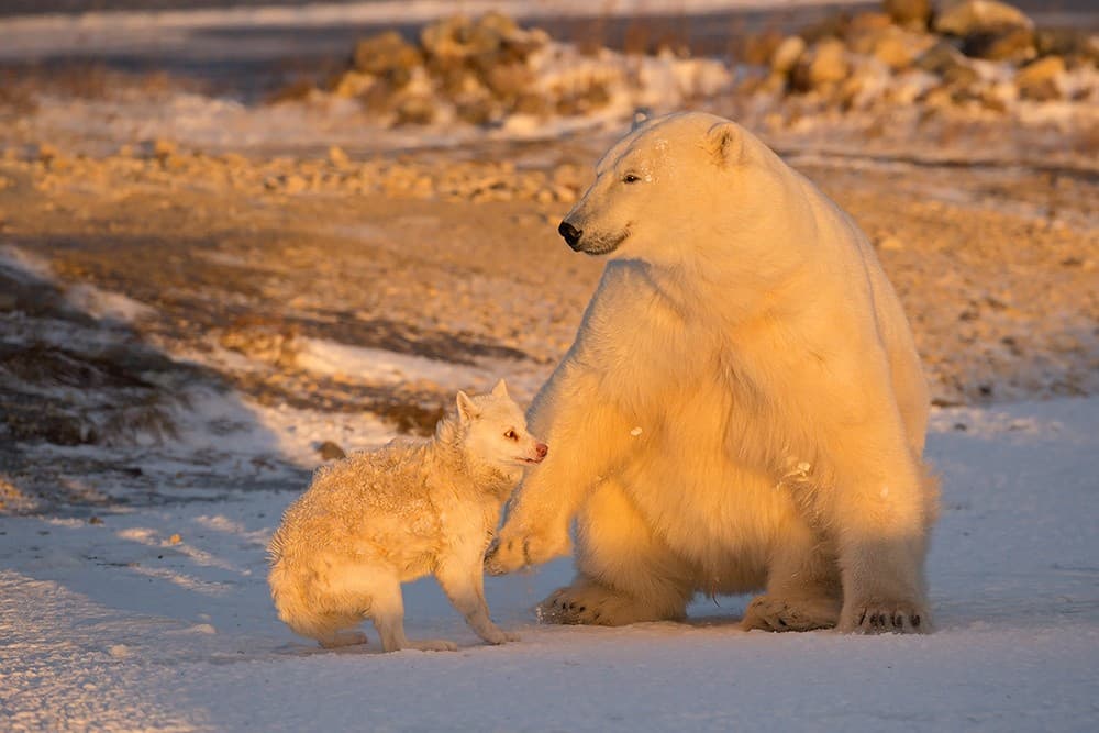 Different Twins Poster