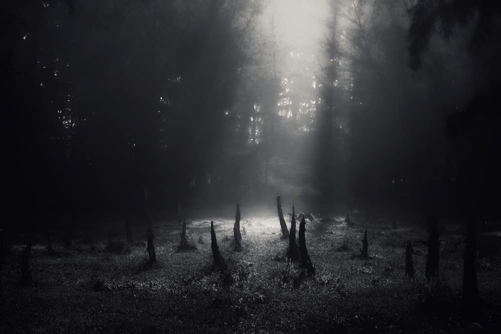Nature's Graveyard Poster