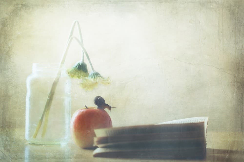 Reading Day Poster
