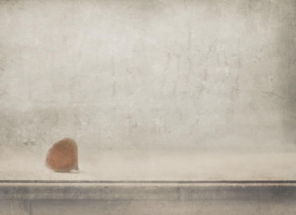 Solitude Stands By The Window Poster
