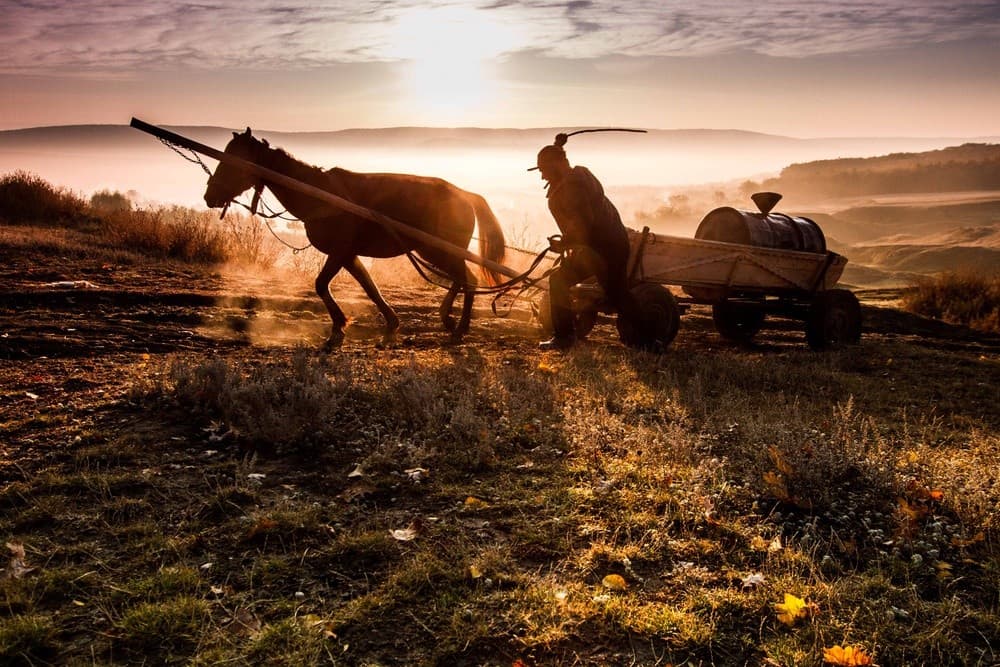 No Man's Land Poster