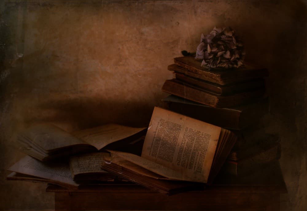 Old Books Poster