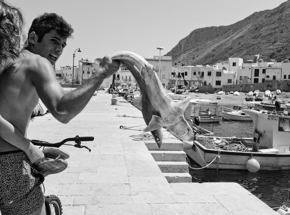 The Shark Is Mine! Poster