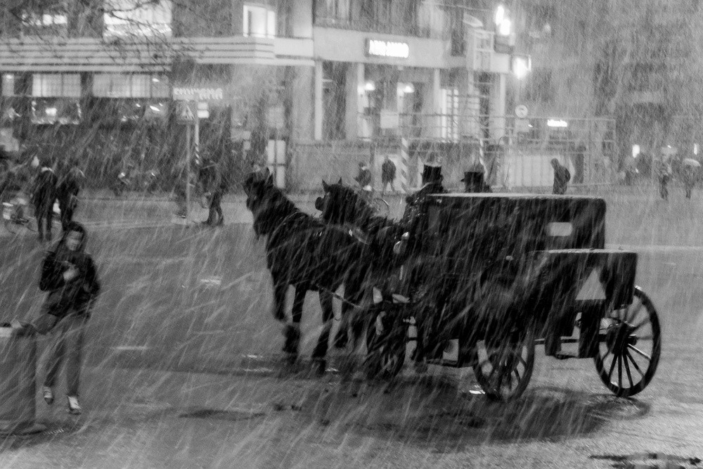 Carriage In Winter Storm Poster