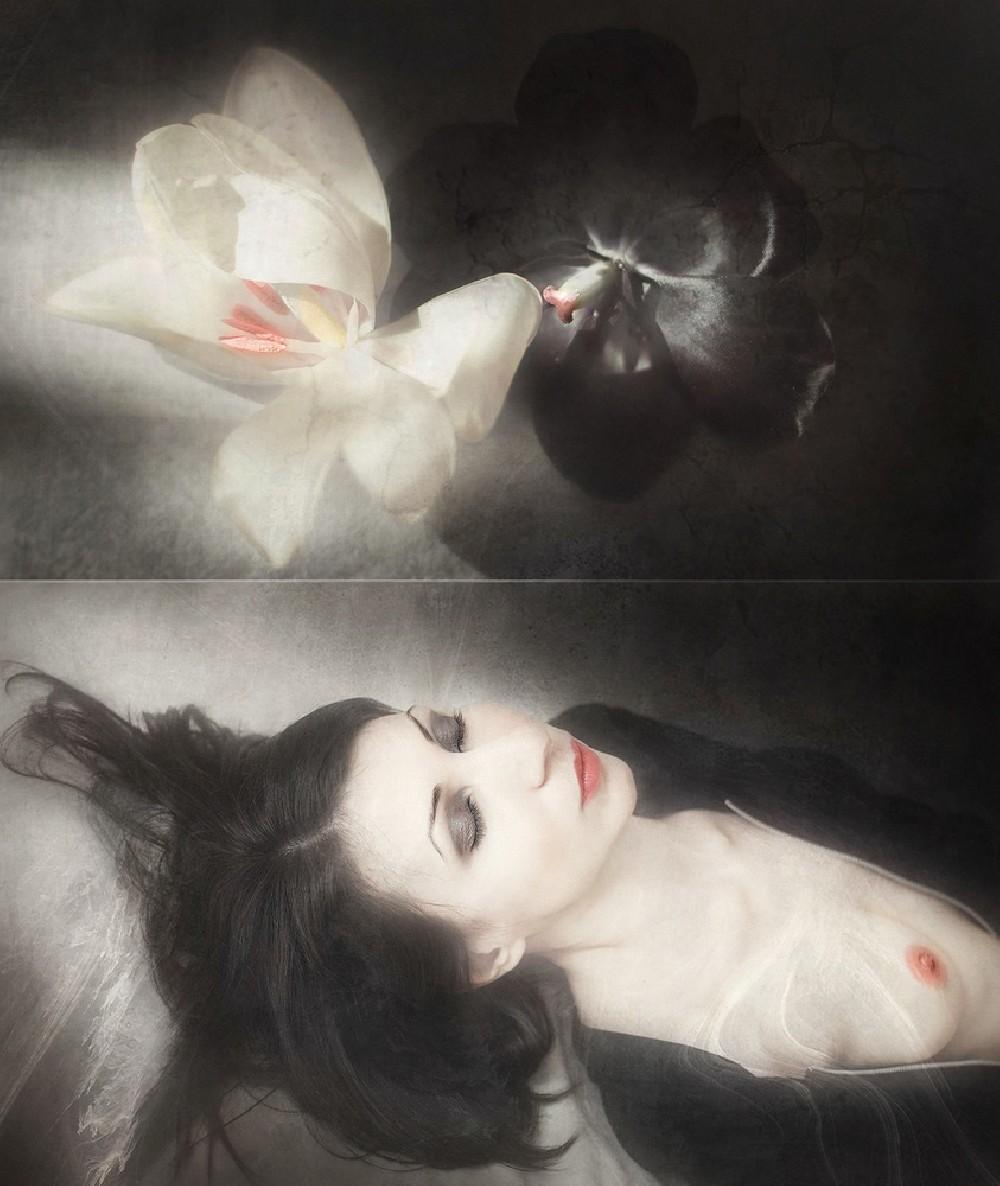 White, Black And Pink Poster