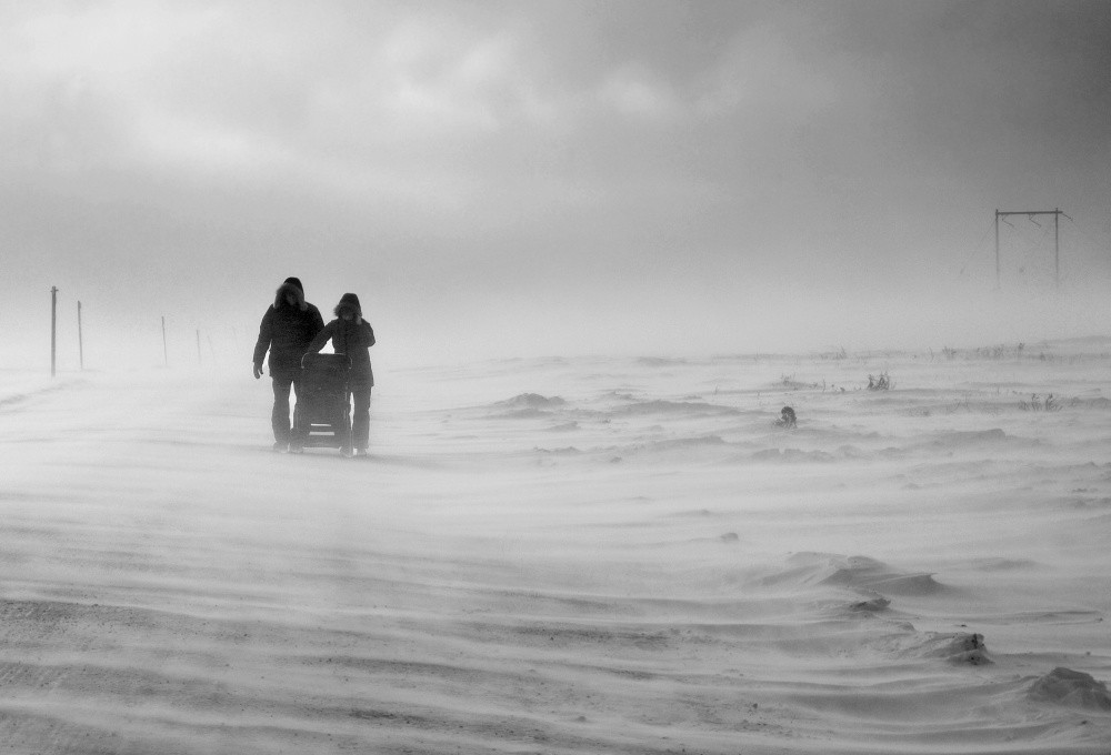 Fighting For Their Future Poster