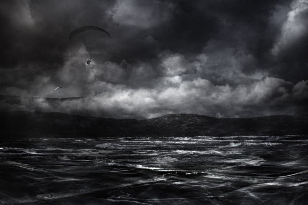 Free As A Bird Poster