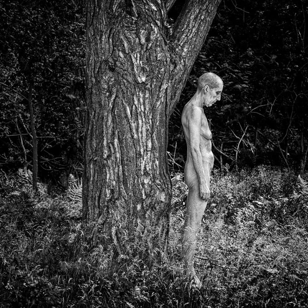 Fine Art Nude By Ton Dirven Poster