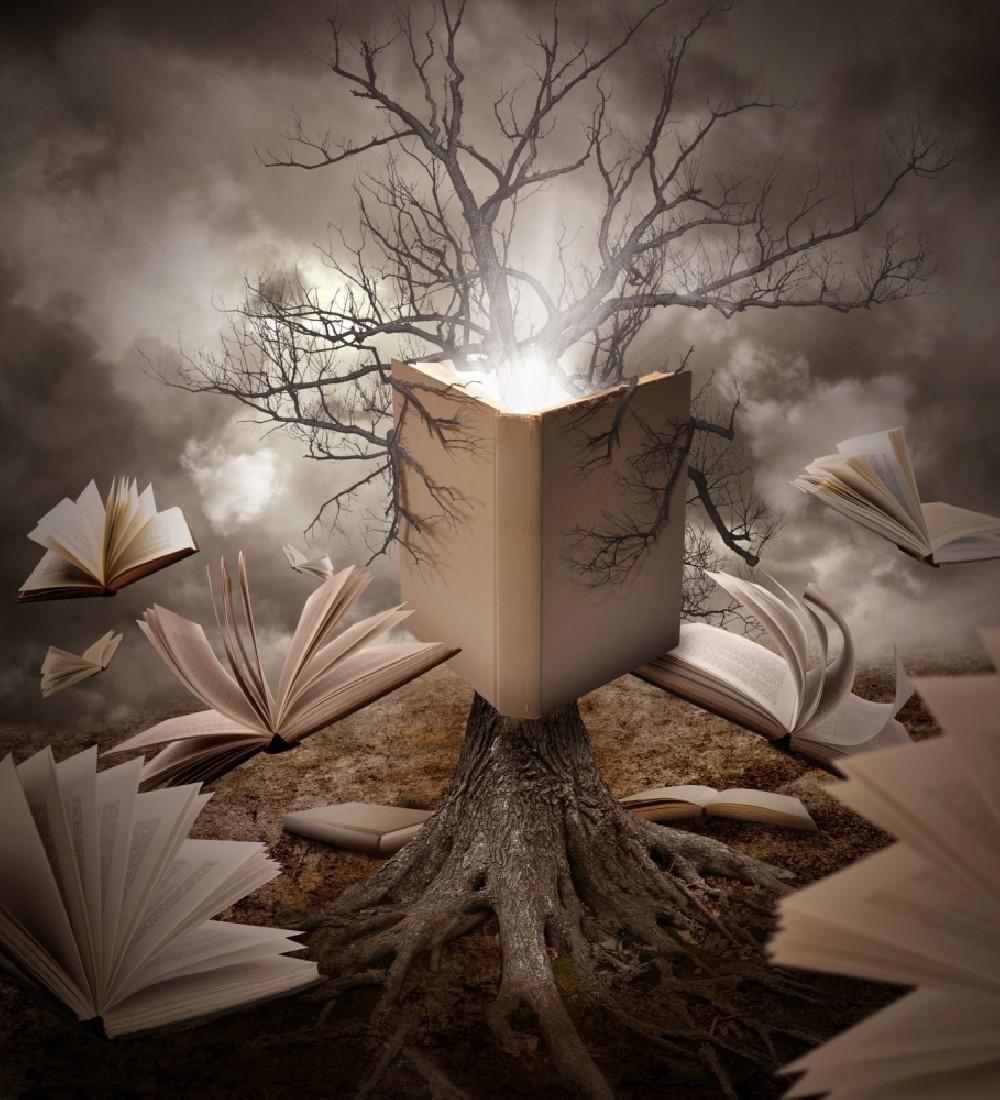 Old Tree Reading Story Book Poster