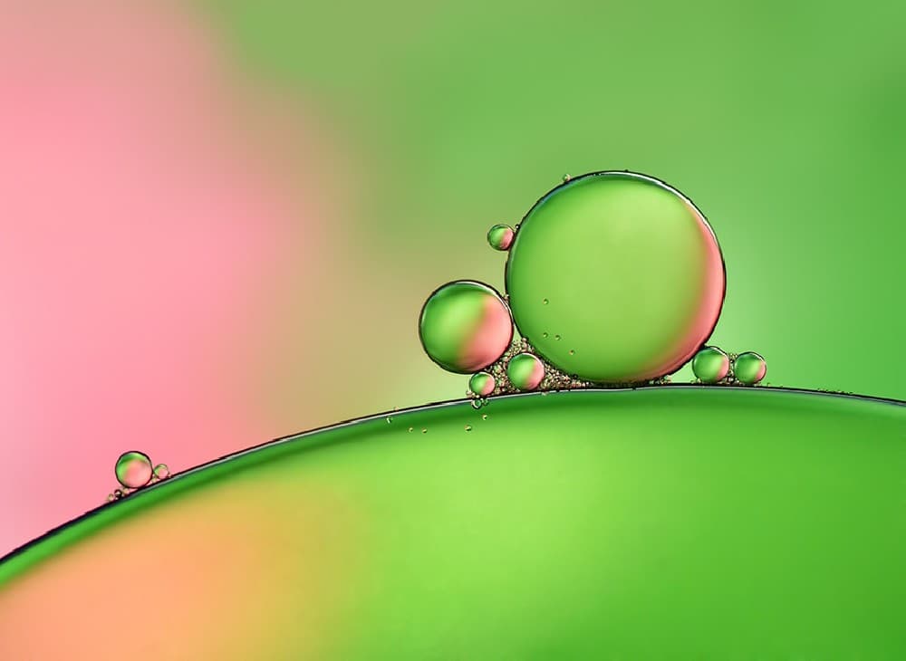 Apple Blush Poster