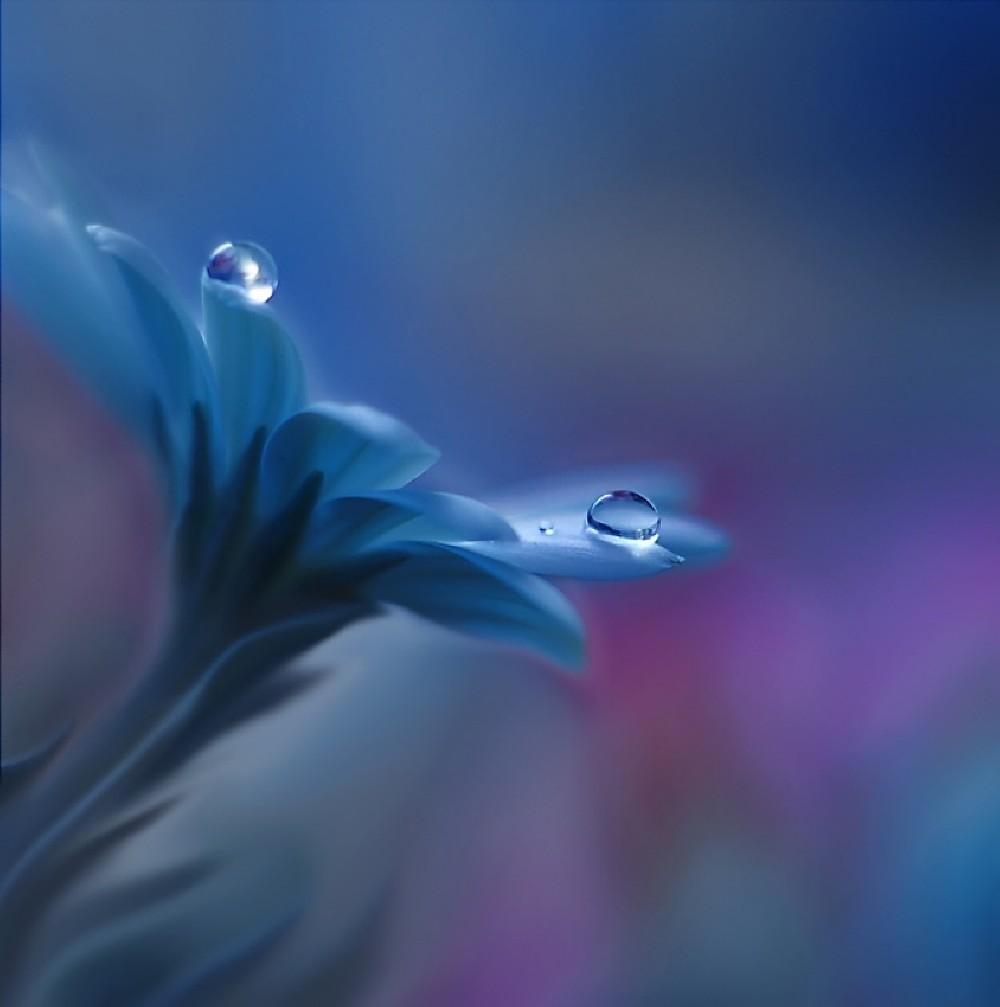 Beyond Mind And Heart... Poster