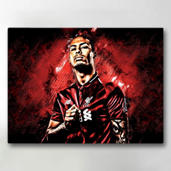 Lerretsbilde / Bilde - Virgil van Dijk - 40x30 cm - Lerret