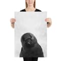 Miniatyrbild 2 av 3: Raven Large Poster