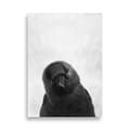 Miniatyrbild 1 av 3: Raven Large Poster