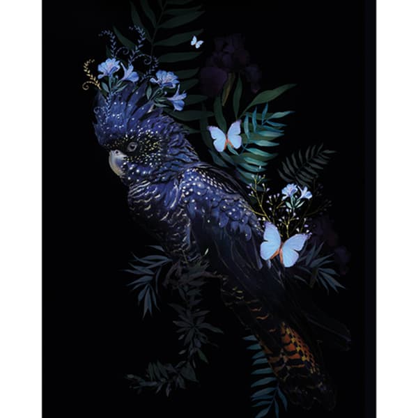 Summer Thornton Kakadue plakat Multicoloured 80cm x 60cm