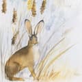 Miniatyrbild 4 av 5: Laura Ashley - Tryck i ram - Country Hare - 40x30cm