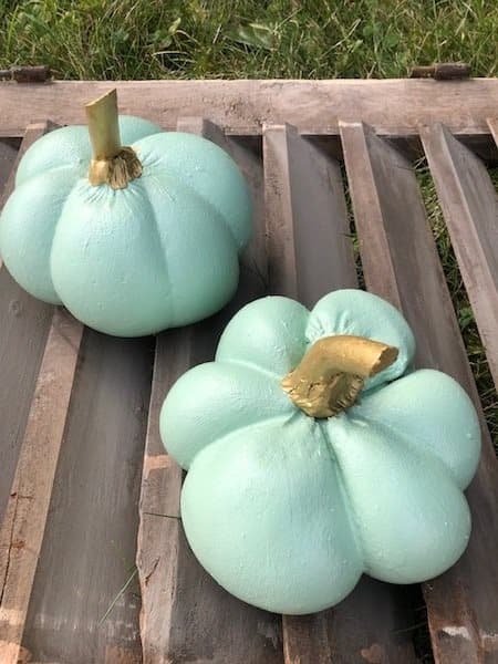 Pumpkin I Beton Turkis - Purely handmade