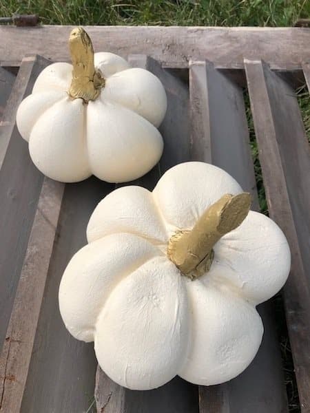 Pumpkin I Beton Creme - Purely handmade