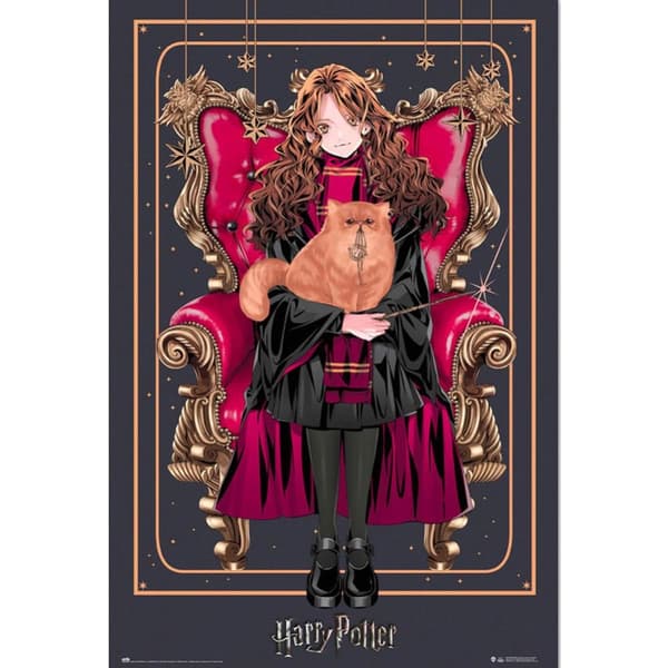 Harry Potter Dynasty Hermione Poster Red/Black/Brown One Size