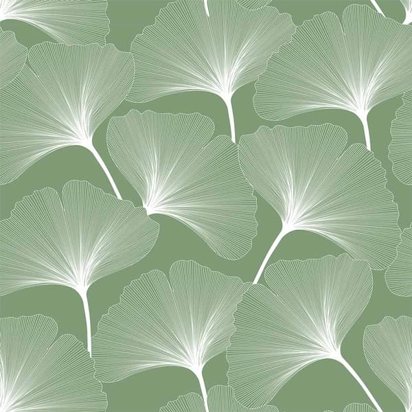 Fototapet - Gingko / Grön