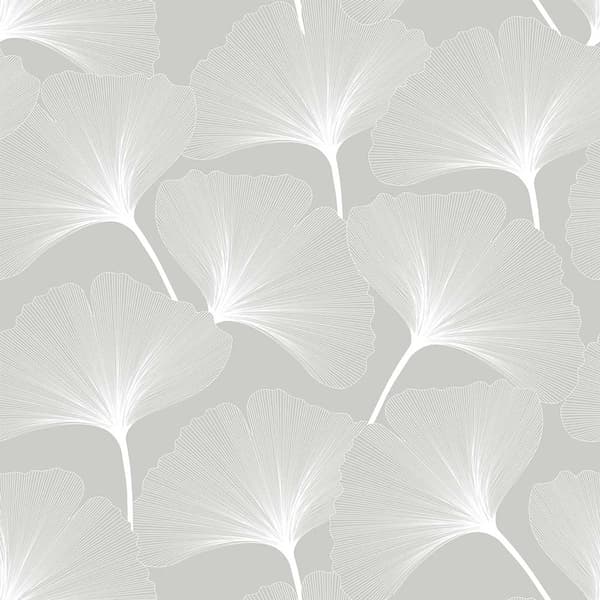 Fototapet - Gingko / Grå