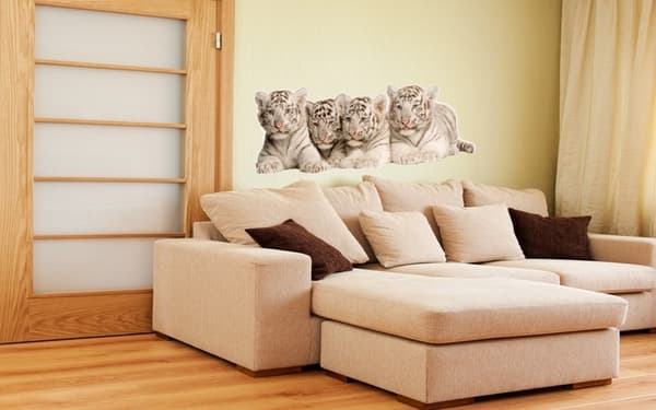 Wallsticker - Tiger unger