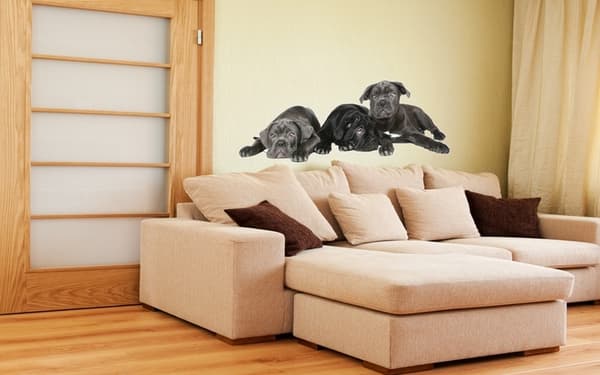 Veggklistremerke - Hunder Cane corso